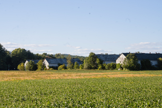 The town of Simsbury plans to preserve the remaining tobacco barns on the Meadowood farmland, some of which have been lost to solar-farm development. (Kesha Lambert)