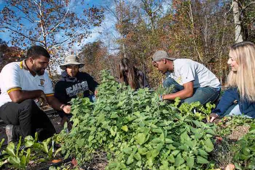 Students in Greensboro, N.C., started an herb garden as a way to learn about how to grow plants and their nutritional benefits. (Sarah Fedele)