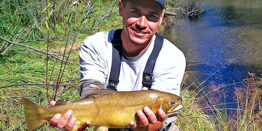 Urgency for the U.S. Congress to designate the Gila River as a Wild and Scenic River follows one of the worst years ever recorded for water levels on the Colorado River. (state.nm.us)