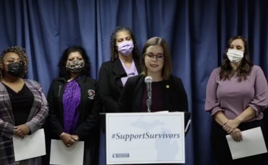 Michigan state Rep. Laurie Pohutsky, D-Livonia, a survivor of domestic violence, is among the lawmakers who have introduced a package of domestic violence prevention bills. (Michigan Progressive Women's Caucus)