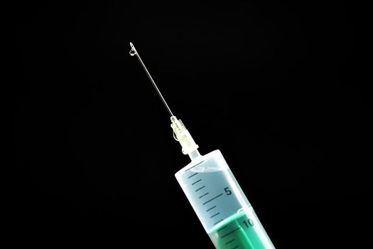 The Florida House and Senate on Monday rolled out proposals for a special legislative session next week that will focus on opposing COVID-19 vaccine and mask mandates. (KlausHausmann/Pixabay)