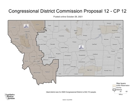 Montana's redistricting commission has chosen a congressional map, with the possibility of small tweaks before it is finalized. (Montana Districting and Apportionment Commission)