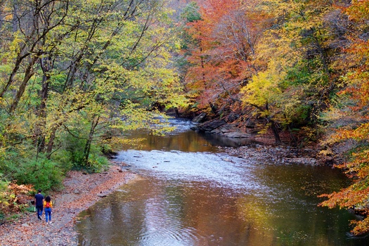 Philadelphia has over 100 Park Friends groups that act as stewards of public lands in the city. (Adobe Stock)