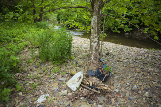 In a recent survey of 500 Pennsylvanians, 76% said they believe litter reduces property values, increases taxes with cleanup costs, and is an environmental issue. (Adobe Stock)