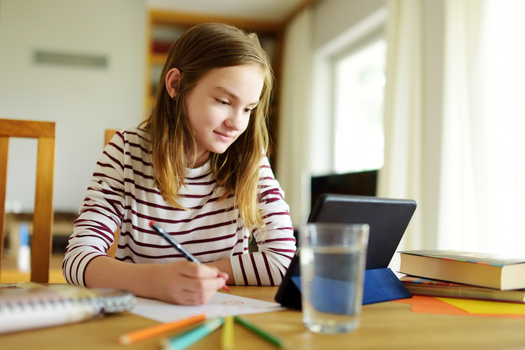 Some estimates say roughly 150,000 rural Minnesotans lack access to high-speed internet, affecting things such as distance learning. (Adobe Stock)