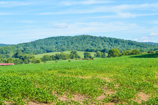 Farming is Virginia's largest private industry, according to the state Department of Agriculture and Consumer Services. (Adobe Stock)