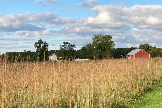 Vicki Harder-Thorne is honoring 30 years of sweat equity her parents put into restoring 80 acres of land in Ottawa County. (Harder-Thorne)