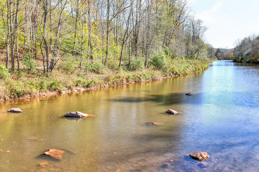 The Williams River in the Monongahela National Forest in one of the places conservation groups in West Virginia are working to protect against the effects of development. (Adobe Stock)
