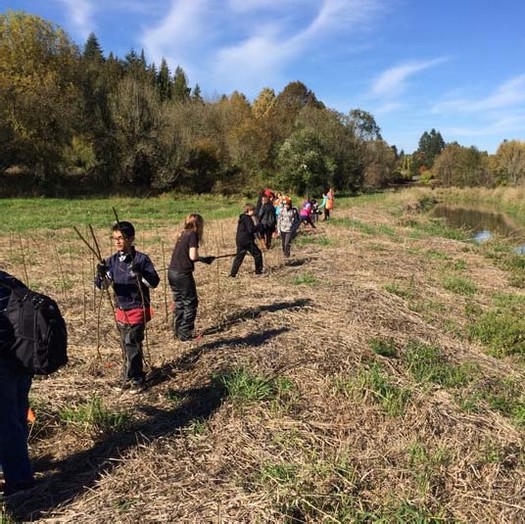 The Clark County Clean Water Restoration Fund distributed nearly $4.5 million to 25 projects on the Columbia River. (Lower Columbia Estuary Partnership)