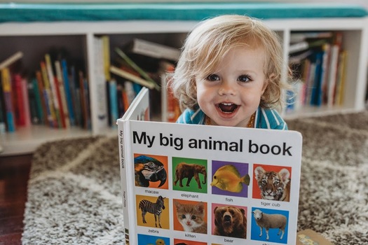 Donations to charitable nonprofits such as the Billings Public Library are eligible for a non-itemized deduction, now through Friday. (Billings Public Library Foundation)
