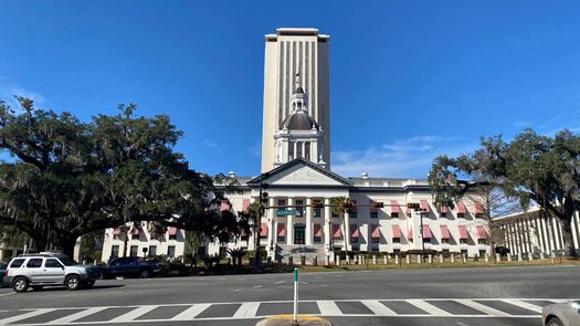 Abortion is expected to be one of the most controversial issues lawmakers will tackle when they start the annual 60-day Florida legislative session on Tues., Jan. 11. (Trimmel Gomes)