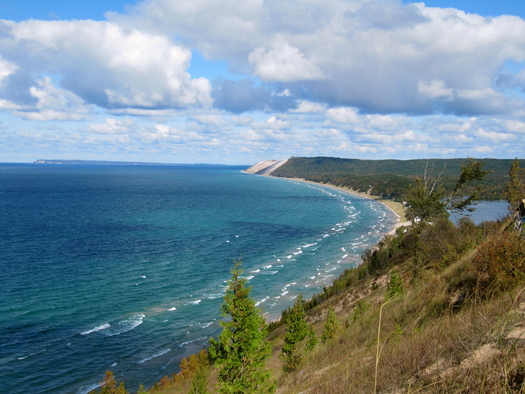 A new report says increased salinity in Lake Michigan may put some small lake-dwelling critters at risk, such as zooplankton, mussels and amphibians. (Wikimedia Commons)
