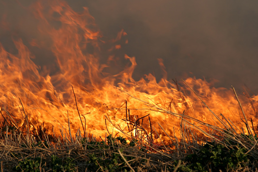 The Marshall Fire, fueled by record drought, swept across some 6,000 acres in a matter of hours in Boulder County. (Adobe Stock)