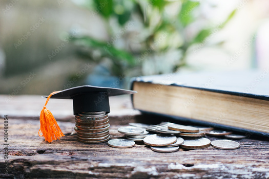 Gov. Gavin Newsom's new budget proposal represents an increase of more than $16 billion for education compared with last year. (Jantanee/Adobestock)