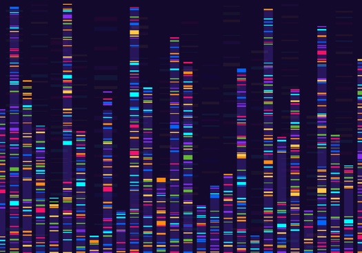 Using new genes associated with stuttering for a model, researchers have been able to predict the presence of stuttering 80% of the time. (Frogella.stock/Adobe Stock)