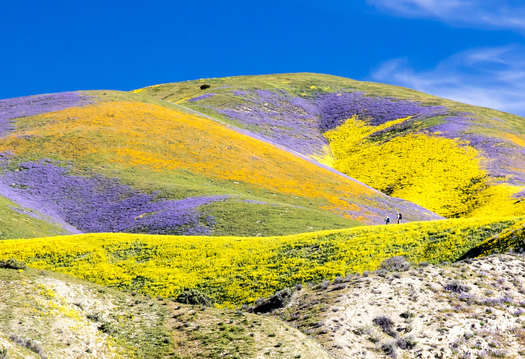 The Carrizo Plain National Monument would receive extra protections from development under the proposed Public Lands Act in Congress. (Bob Wick/Bureau of Land Management)