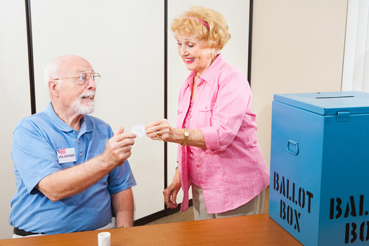 California will need to hire thousands of poll workers in advance of the primary election this spring and the general election in November. (Lisa F. Young/Adobe Stock)