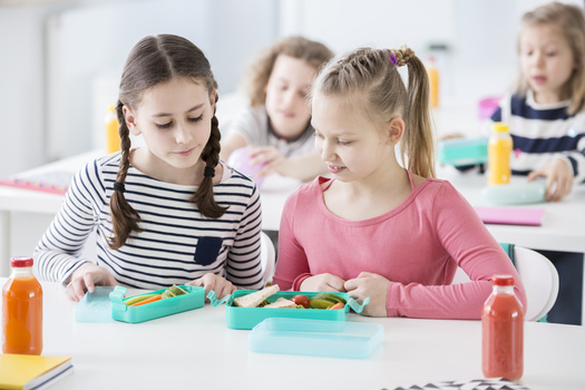 Those calling for permanent universal free school meals say research has linked them to better academic outcomes. (Adobe Stock)
