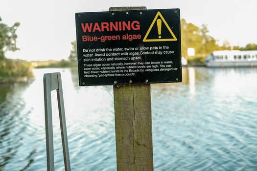 According to the U.S. Environmental Protection Agency, more than 15,000 water bodies across the country have nutrient-related environmental problems. (Adobe Stock)