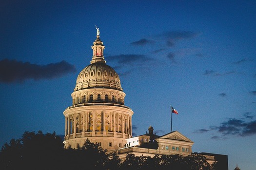 Texas is one of 39 states with a gubernatorial election this year along with other state offices on the ballot. (albertoadan/Pixabay)