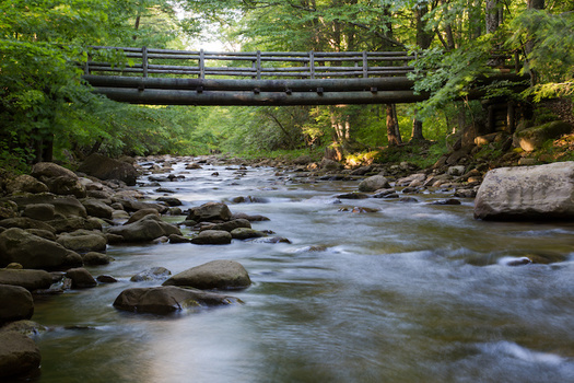 Environmentalists say increased sediment from a proposed natural-gas pipeline project would cause significant harm to West Virginia's streams and aquatic life. (Adobe Stock)