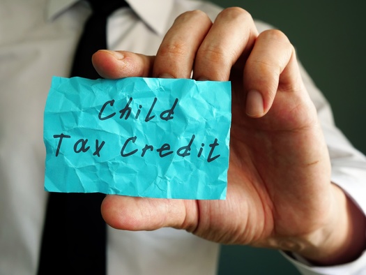 The final payments for people who receive a 2021 Child Tax Credit will be included in this year's income-tax returns. (Yurii Kibalnik/Adobe Stock)