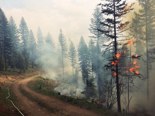 Montana is projected to face greater risks from wildfires as temperatures rise from climate change. (Gabe/Adobe Stock) 