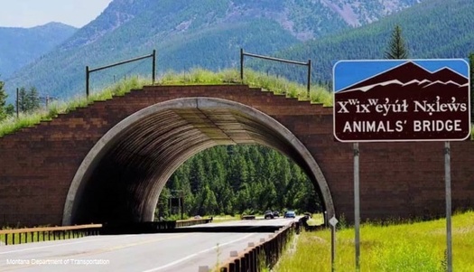 The Confederated Salish and Kootenai Tribes were involved in creating a wildlife crossing over U.S. Highway 93 in Montana. (Montana Department of Transportation)