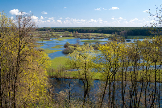 Iowa currently has 27 Watershed Management Authorities. These local coalitions map out solutions to flooding and other water issues. (Adobe Stock)