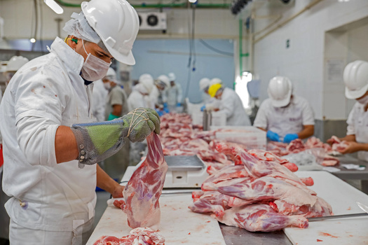 People working in fields such as meat processing said they had no other choice but to keep working during the pandemic. Some argued they should be included in bonus payments being considered by Minnesota lawmakers. (Adobe Stock)