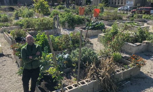 Seamus Ford is the co-founder of the Harambee Community Garden in West Chicago. According to the Trust for Public Land, there are more than 29,000 garden plots in city parks in the 100 largest U.S. cities. (Jordyn Harrison)