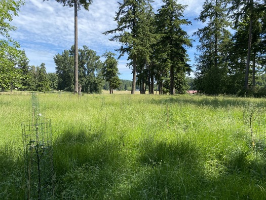 Puget Sound Agrarian Commons started in 2020 after a gift of land from Caroline Gardener on Whidbey Island. (Northwest Meadowscapes)