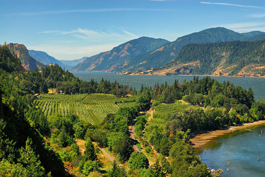 Many of the farmworkers in Oregon near the Columbia River Gorge work in orchards. (Kirk/Adobe Stock)