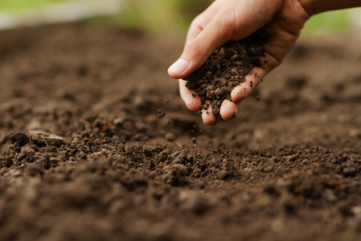 When it comes to sustainable agriculture, North Dakota ranks in the middle of the pack for practices such as cover crops. But it has made big gains in recent years. (Adobe Stock)