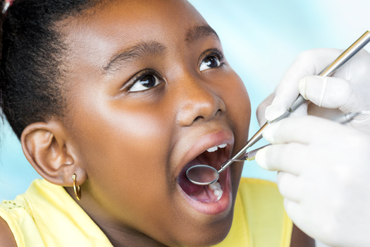 Only about one-third of dentists accept health insurance from public programs such as Medicaid. (karelnoppe/Adobe Stock) Only about one-third of dentists accept health insurance from public programs like Medicaid. (karelnoppe/Adobe Stock)