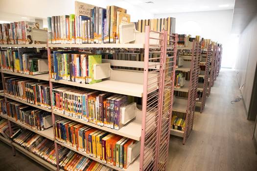 Books that some Jonesboro Public Library board members have previously attempted to remove from the children's section include 