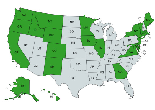 In green states, telemedicine abortion is allowed and providers are offering this service. In the gray states, people are finding workaround ways to access abortion pills. (Carrie Baker/Ms. magazine)