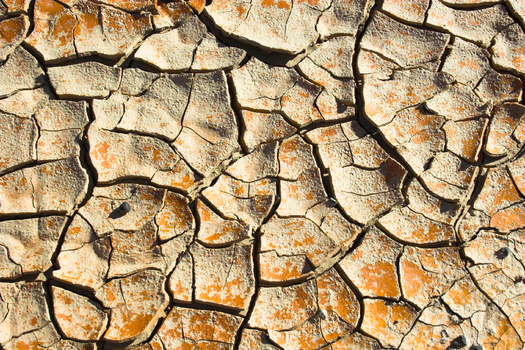 Arizona is in the 27th year of a long-term drought, thought to be made worse by climate change.(George Burba/Arizona)