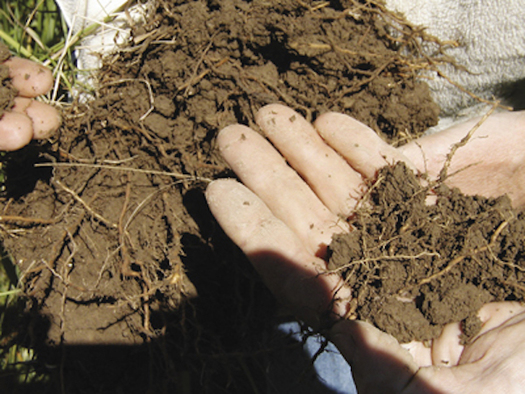 The New Mexico Department of Agriculture allows state residents who qualify for a refund on their personal income tax return to donate all or part of it to the Healthy Soil Program enacted in 2019. (aces.nmsu.edu)