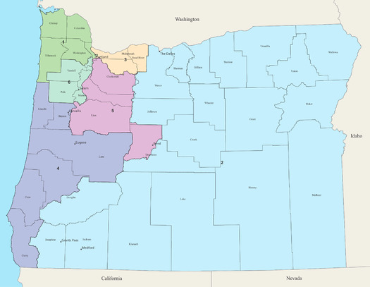 Democrats are expected to control all but one of the newly created congressional seats after Oregon's 2021 redistricting process. (AveryTheComrade/Wikimedia Commons)
