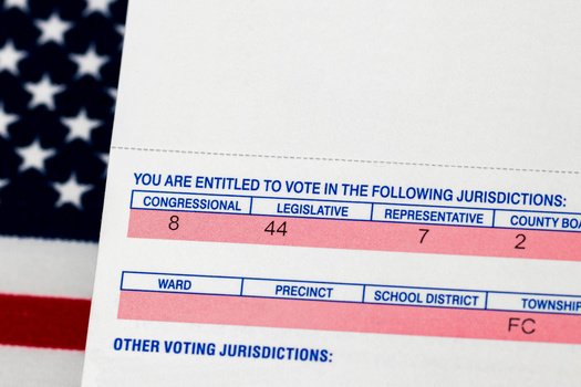 Some counties send out postcards with voters' new districts on them so they can research what candidates are running. (JJ Gouin/Adobe Stock)