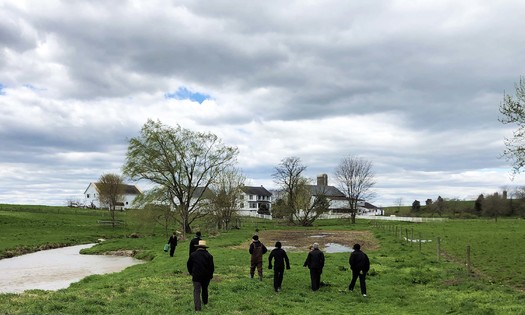 Federal investments in the Pequea Creek Watershed in Lancaster and Chester counties will help keep soils and nutrients from becoming runoff, with such practices as cover crops, no-till farming and riparian buffers. (Brian Gish/Chesapeake Bay Foundation)