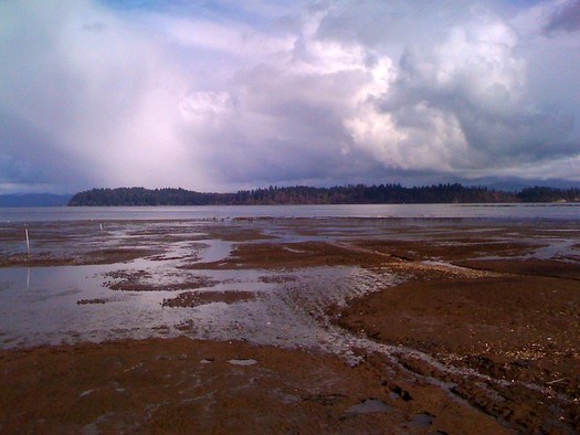 The Willapa National Wildlife Refuge is on a supplemental priority list for the Land and Water Conservation Fund this year. (Sam Beebe/Flickr)