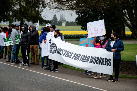 Visitors to the Skagit Valley Tulip Festival in April might also notice workers with picket signs, protesting working conditions in the tulip fields. (Community to Community Development)