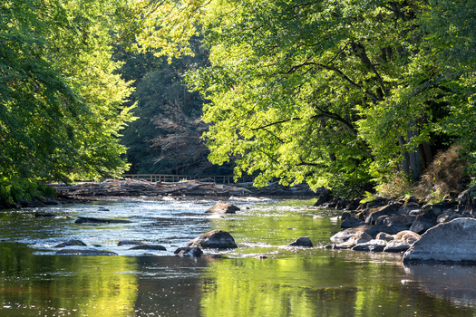 According to the Indiana Department of Environmental Management, E. coli is the number one cause of waterway impairment in the state. The organic pollutant is exacerbated and amplified by runoff from industrial farms. (Adobe Stock)