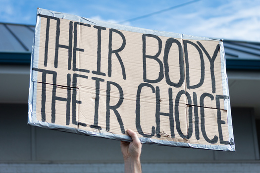 Montana and other states have protected abortion access under constitutional provisions that recognize a person's right to privacy. (trac1/Adobe Stock)