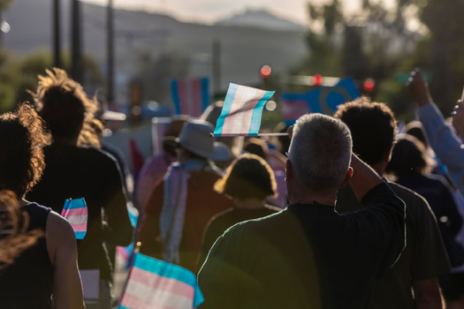 Anti-trans bills have been introduced in all but three states since 2018. (Scott Griessel/Adobe Stock)