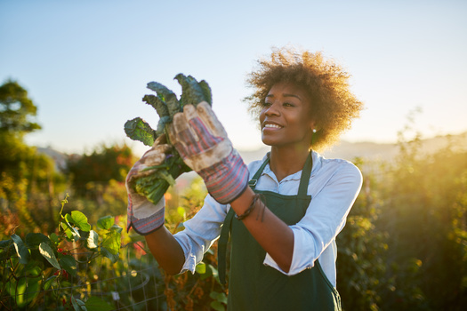 According to the most recent data from the USDA, there were only 1,865 farmers of color in Virginia as of 2017, about 4% of the state's total. (Adobe Stock)