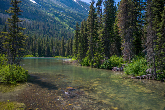 The Montana Constitution goes beyond even the U.S. Constitution in its protections of the environment. (stevengaertner/Adobe Stock)