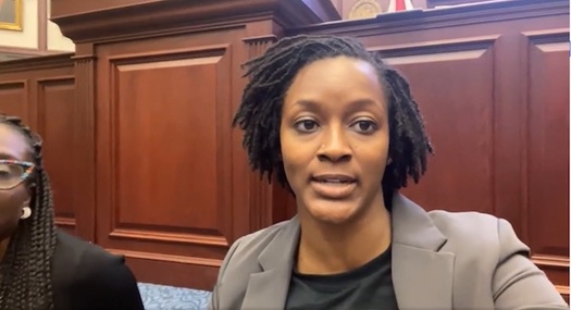 A protest led by Democrats including Rep. Angie Nixon of Jacksonville temporarily halted the Florida House's consideration of Gov. Ron DeSantis' congressional map. (Rep. Angie Nixon/Facebook)